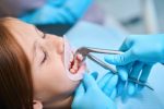 tooth extraction in red deer