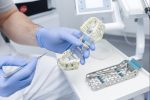 tooth replacement in red deer